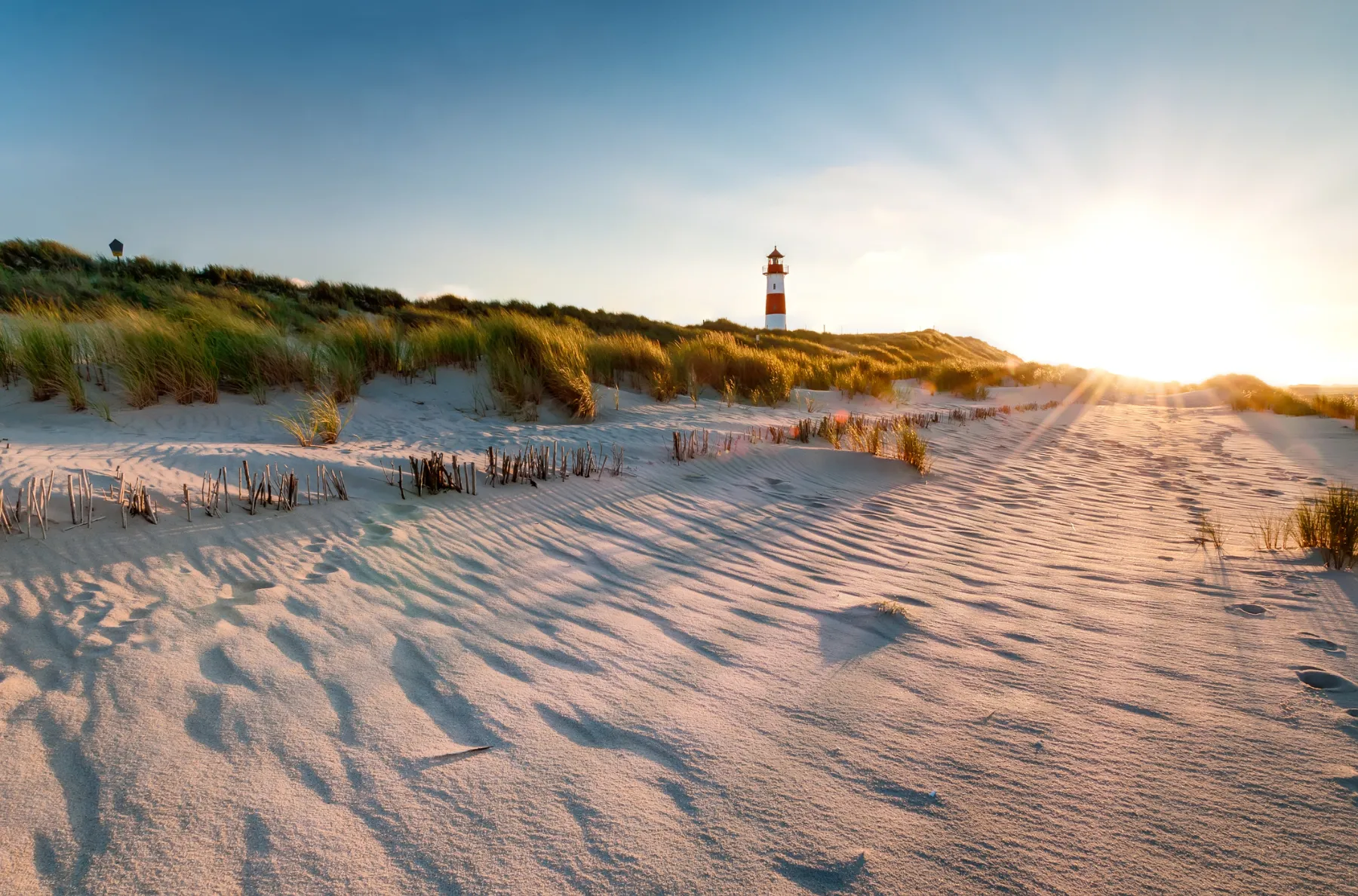 Beach and dunes on Sylt against the light